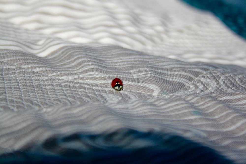 Thanks for stopping in. This lady bug made me happy during the photo shoot. She was checking out my stitches!